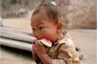 吃瓜反差官网,揭秘娱乐圈背后的真实故事