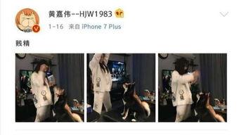 二次元吃瓜娱乐圈,二次元与娱乐圈的跨界吃瓜盛宴